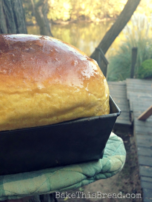 Baked and Butter Pumpkin Bread by the River Bake This Bread