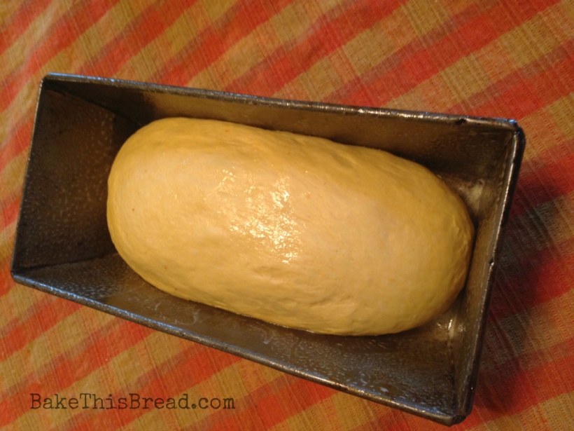 Pumpkin Bread Dough Second Rise in Bread Pan Bake This Bread