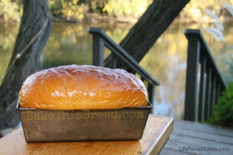 Pumpkin Bread Loaf by the river photo by LifeForcePhotos for Bake This Bread