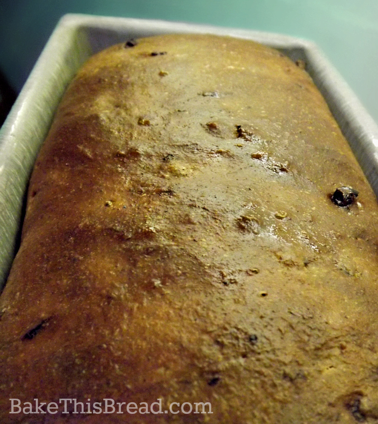 Cinnamon Swirl Bread baked and buttered on top by bake this bread
