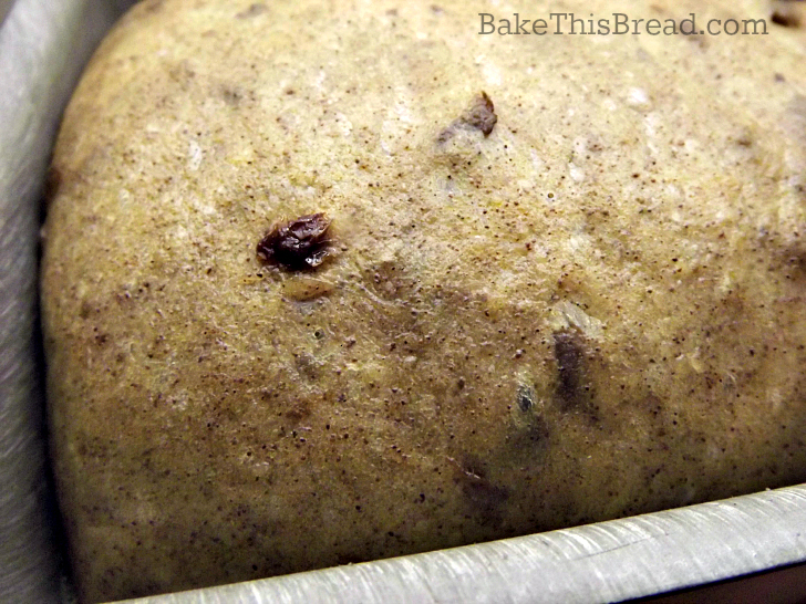 Close up of Cinnamon Swirl Dough fully risen in baking pan by bake this bread