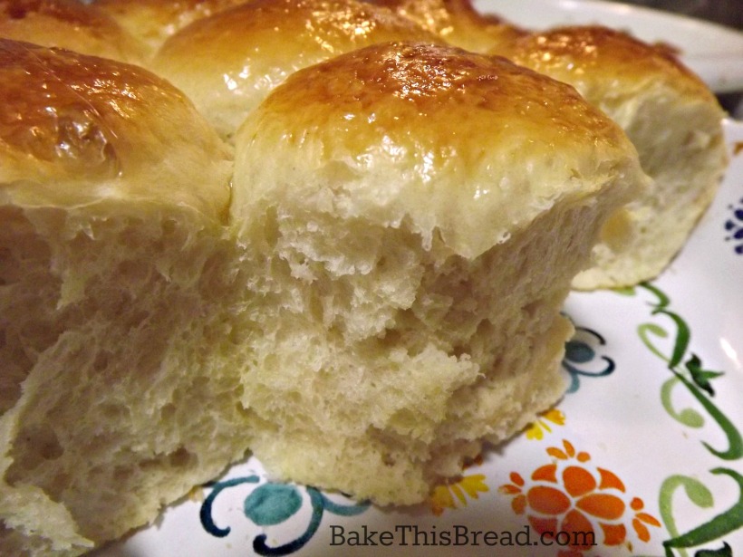 Close up of homemade yeasted buttermilk dinner rolls by bake this bread