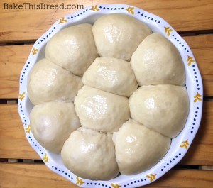 Homemade Yeasted Buttermilk Biscuits after 2nd rise by bake this bread