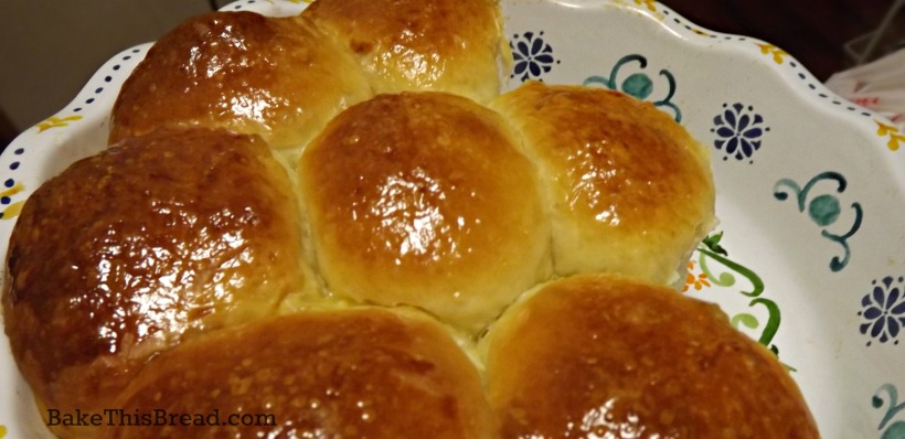 Serving hot yeasted buttermilk dinner rolls by bake this bread