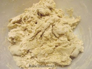 Yeasted shag stage of mixed dough by bake this bread